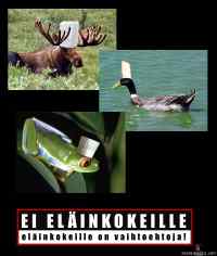 Ei eläinkokeille!