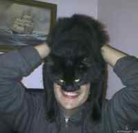 Catman