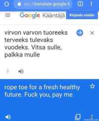 Virpominen englanniksi - Taattua Google translate laatua