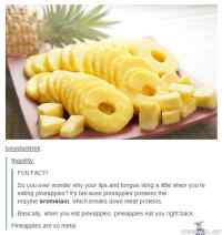 Pineapples