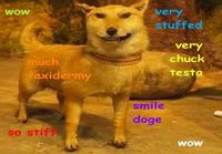 Wow such taxidermy