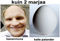 Kuin kaksi munaa