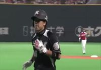 Baseball catch