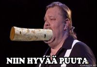 Niin hyvää puuta