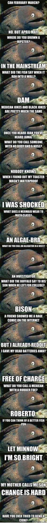 Bad joke eel