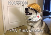 Houston..