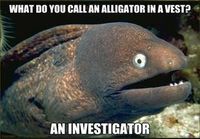 Bad joke eel