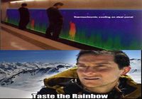 taste the rainbow