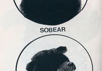 Sobear