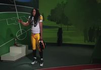 Troy Polamalu vahamuseossa