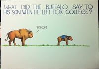 Buffalo