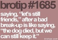 Brotip 1865