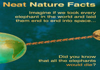 Neat nature facts