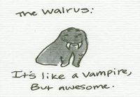 The walrus