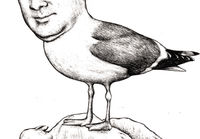 Steven Seagull