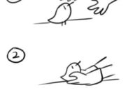 How to pick up chicks