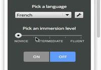 Language Immersion for Chrome