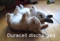 Duracell puput