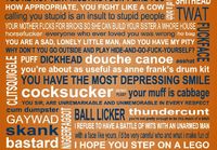 THE GIANT POSTER OF INSULTS