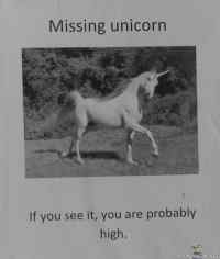 Missing unicorn