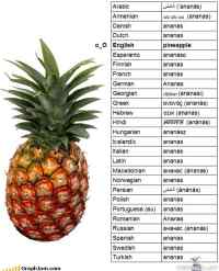 ananas