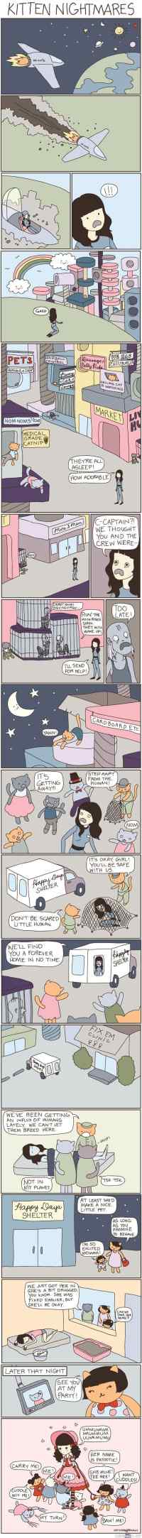 Kitten nightmares