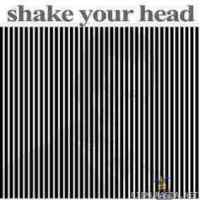 Shake your head