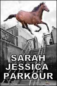 Sarah Jessica Parkour