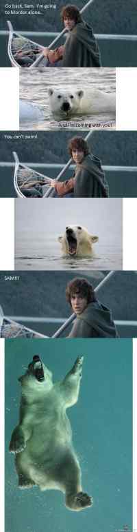 Samwise the Bear