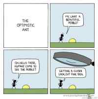 The Optimistic Ant