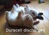 Duracell puput