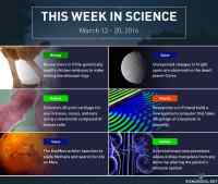 This week in science (W11) - Dinosaur Legs http://ra.fi/uyYY | Ceres http://ra.fi/h7fY | Bioink http://ra.fi/lnoY | Quantum Computer http://ra.fi/29bm | Mars http://ra.fi/7zWm | Kidney Transplants http://ra.fi/ozd2