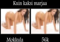 Kuin kaksi marjaa