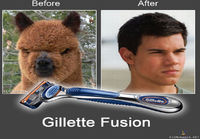 Gillette fusion