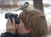 Where is that god damn bird? - Eipä näy lintua.