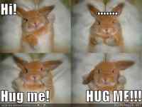 Hug me! - :D