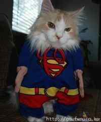 Supercat