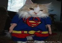 Supercat