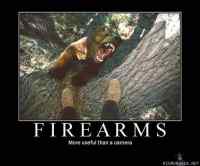 Fire arms