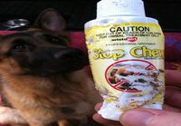 Stop Chewing!