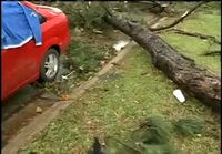 Tornado Steals Man´s Hamburger