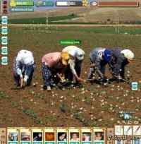 Real Life Farmville