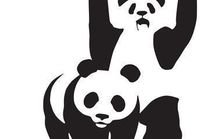 WWF