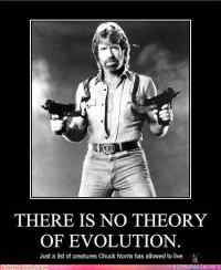 chuck norris