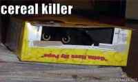 Cereal killer