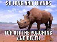 Kiitos. - http://www.dailymail.co.uk/news/article-2490777/Western-Black-rhino-officially-extinct-Northern-White-Javan-rhinos-follow-unless-conservationists-warn.html