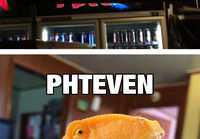 Phteven