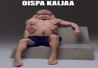 Oispa kaljaa