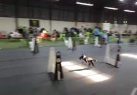 Agility