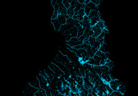 Suomen järvet ja joet